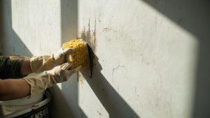 як вивести грибок на стінах в домашніх умовах